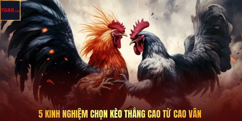 5 kinh nghiệm chọn kèo thắng cao từ Cao Vân 