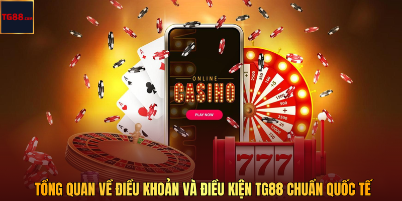 Tổng quan về điều khoản và điều kiện TG88 chuẩn quốc tế