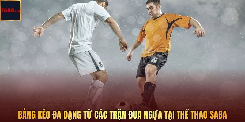 Bảng kèo đa dạng từ các trận đua ngựa tại thể thao SABA