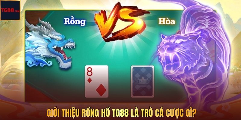 Rồng Hổ - Lựa Chọn Giải Trí Hấp Dẫn, Đẳng Cấp Tại TG88 2 Giới thiệu Rồng Hổ TG88 là trò cá cược gì?