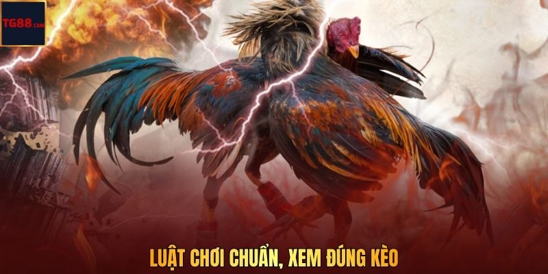 Luật chơi chuẩn, xem đúng kèo