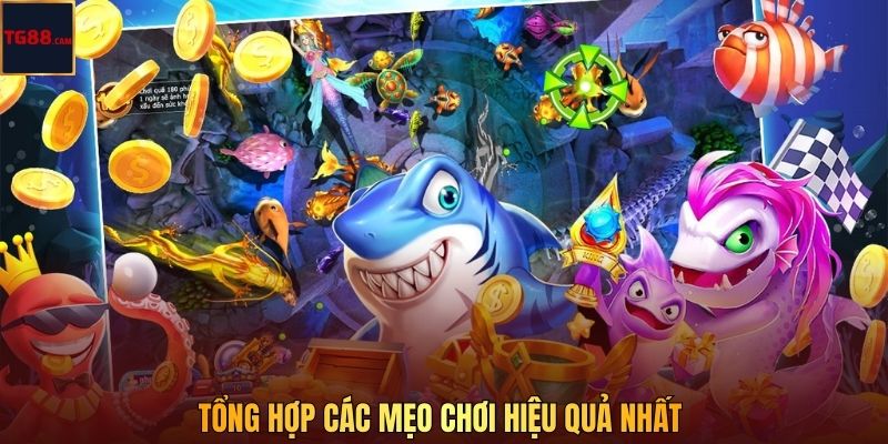 TG88 Chia Sẻ Mẹo Bắn Cá Online Tăng Tỷ Lệ Trúng Thưởng 2026 3 Tổng hợp các mẹo chơi hiệu quả nhất