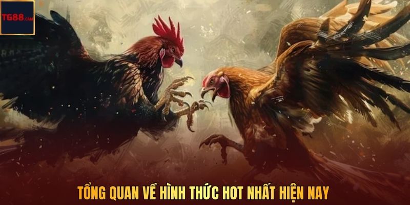 Tổng quan về hình thức hot nhất hiện nay  