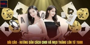 Bài Cào - Hướng Dẫn Cách Chơi Và Mẹo Thắng Lớn Từ TG88