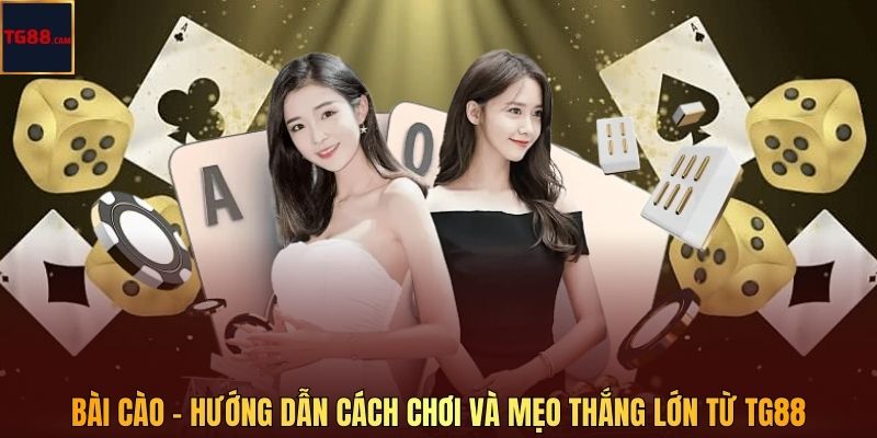 Bài Cào - Hướng Dẫn Cách Chơi Và Mẹo Thắng Lớn Từ TG88