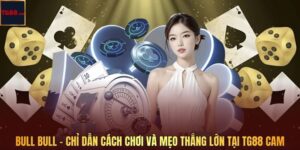 Bull Bull - Chỉ Dẫn Cách Chơi Và Mẹo Thắng Lớn Tại TG88 CAM