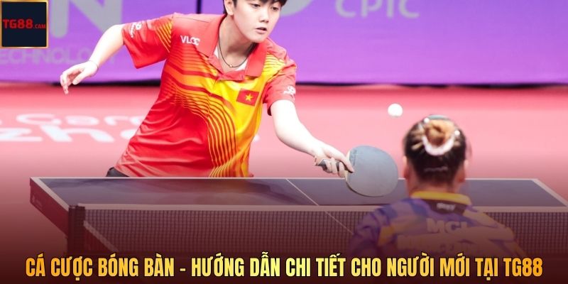 Cá Cược Bóng Bàn - Hướng Dẫn Chi Tiết Cho Người Mới Tại TG88 1 Cá Cược Bóng Bàn - Hướng Dẫn Chi Tiết Cho Người Mới Tại TG88