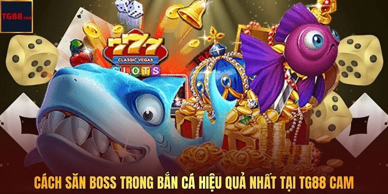 Cách Săn Boss Trong Bắn Cá Hiệu Quả Nhất Tại TG88 CAM 1 Cách Săn Boss Trong Bắn Cá Hiệu Quả Nhất Tại TG88 CAM