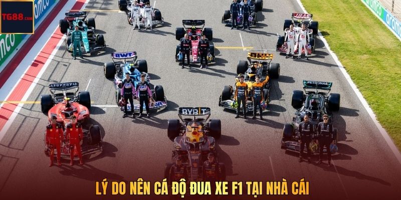 Lý do nên cá độ đua xe F1 tại nhà cái