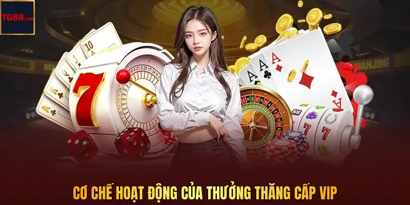 Cơ chế hoạt động của thưởng thăng cấp VIP