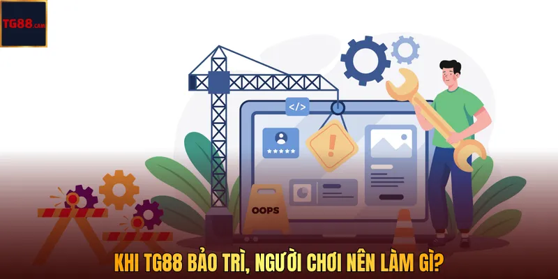 TG88 bảo trì khi đang cược: Người chơi cần biết để không lỡ kèo 3 Khi TG88 bảo trì, người chơi nên làm gì?