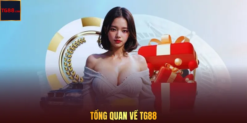 So sánh TG88 với các nhà cái khác: Người chơi nên chọn đâu để vào kèo? 2 Tổng quan về TG88